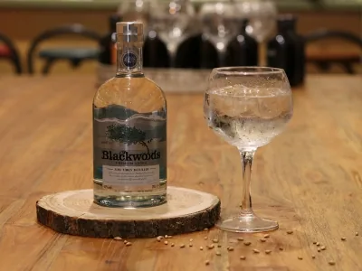 Afbeelding van Blackwoods Vodka