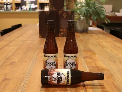 Afbeelding van Diggelfjoer