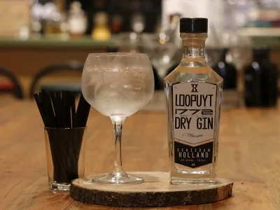 Afbeelding van Loopuyt