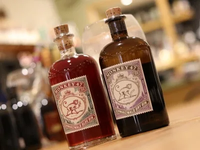 Afbeelding van Monkey 47