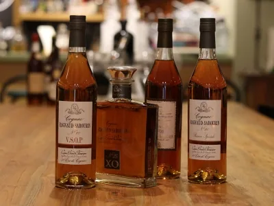 Afbeelding van Ragnaud Sabourin